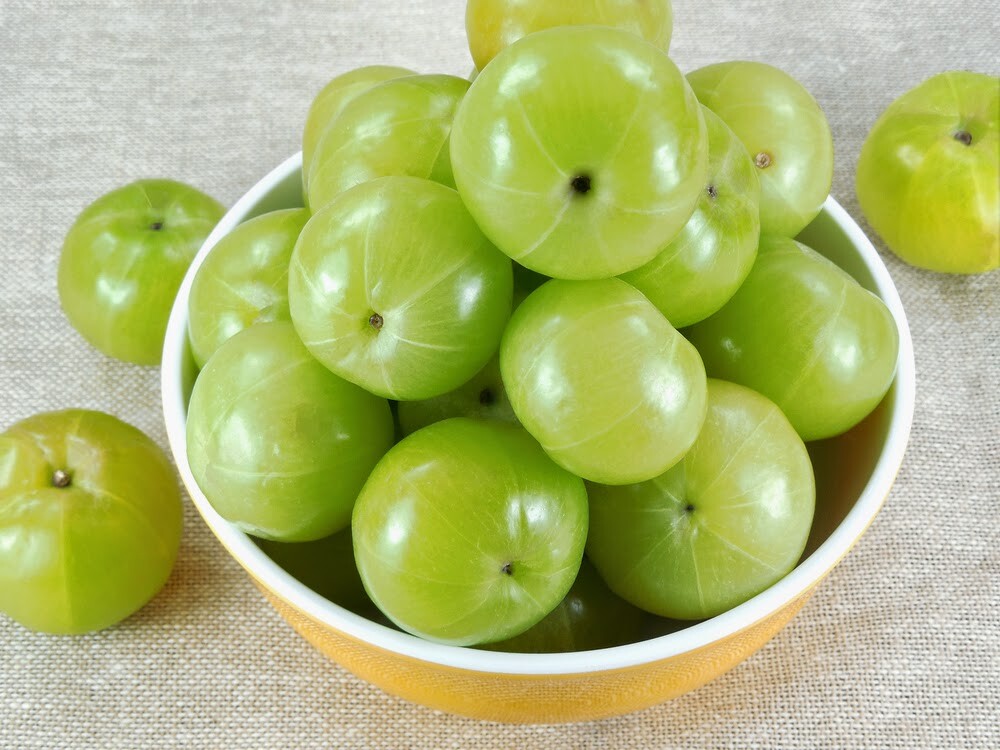 Phyllanthus Emblica Tree 100 Seeds, Indian Gooseberry, Edible Amla Fruit