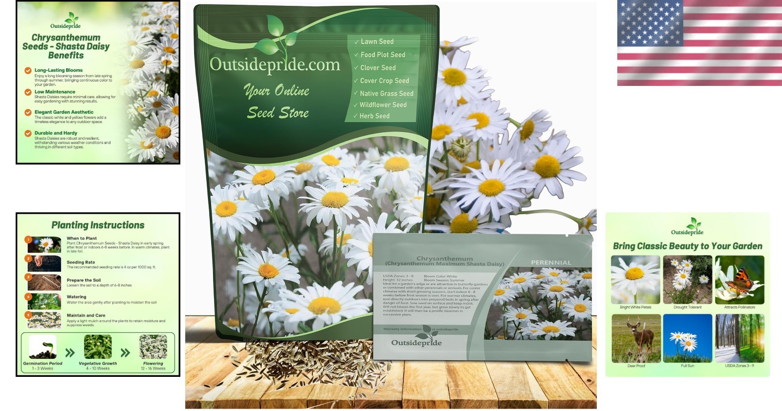 Pollinator Garden Essential: Shasta Daisy 1 Lb. Flower Seeds