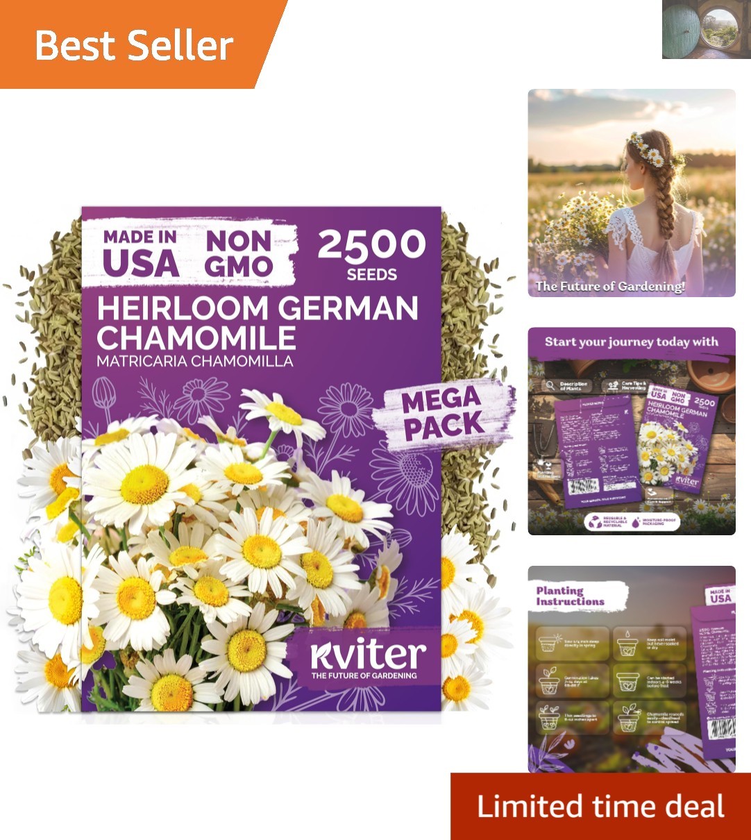 2500 Heirloom German Chamomile Seeds – Organic Medicinal Herb for Tea & Remedies
