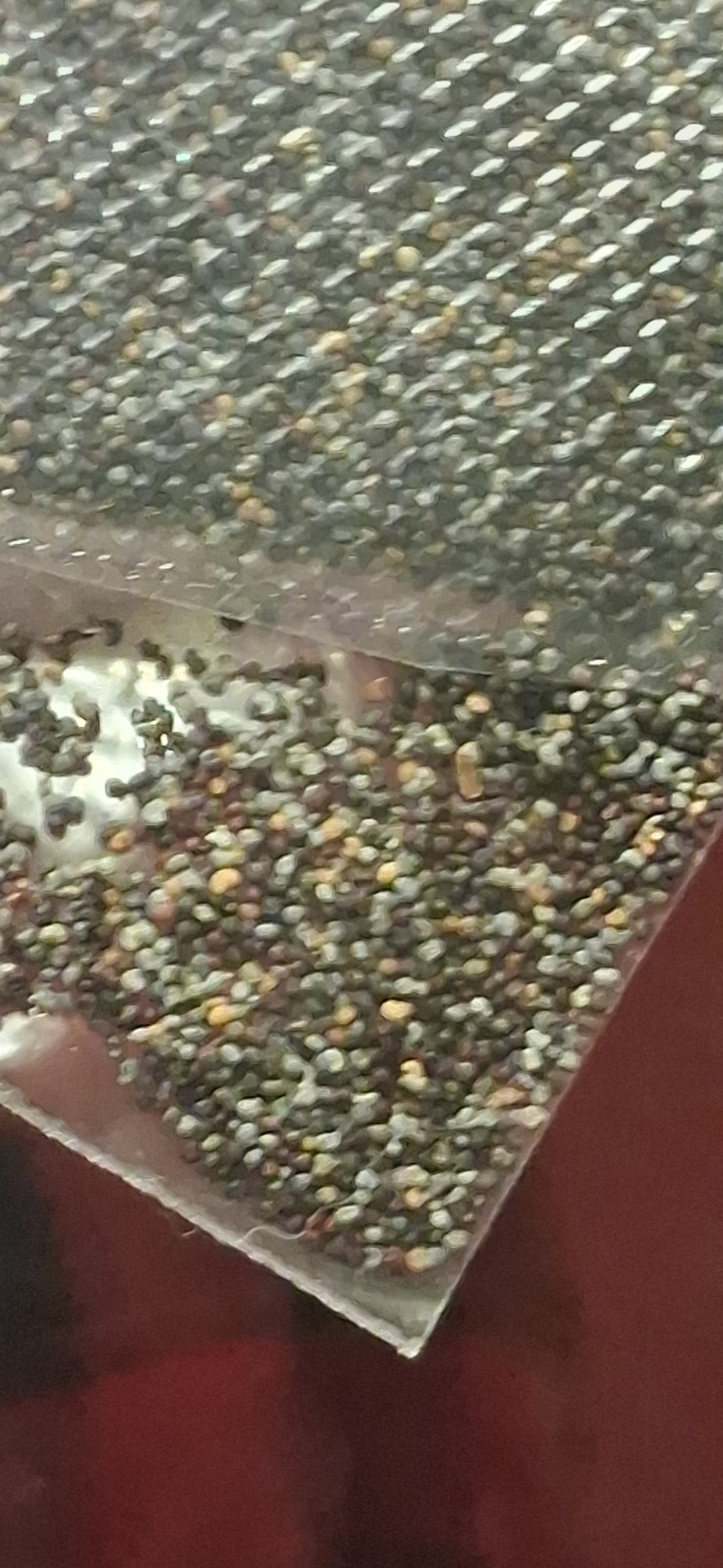 500+ Pharma Poppy Seeds – RARE – FRESH SOMNIFERUM MIX | BUY 2 GET 1 FREE