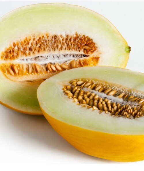 Canary Melon Musk Melon 25 Fresh Seeds Free Gift Seeds w/Every Garden Order!