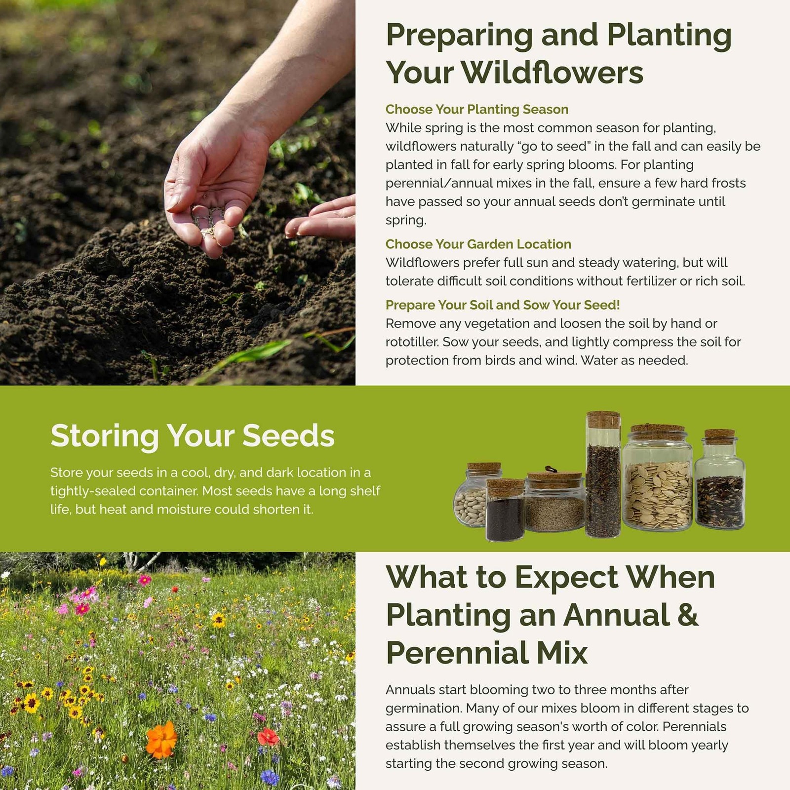 Midwest Wildflower Seed Mix 120,000+ Seeds for Pollinators, Plant in