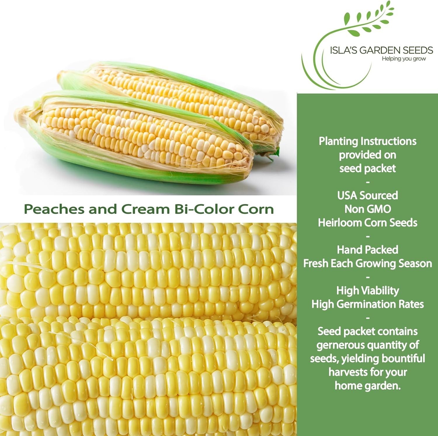 25+ Peaches and Cream Sweet Corn Seeds – Heirloom, Non-GMO for Garden Gifting