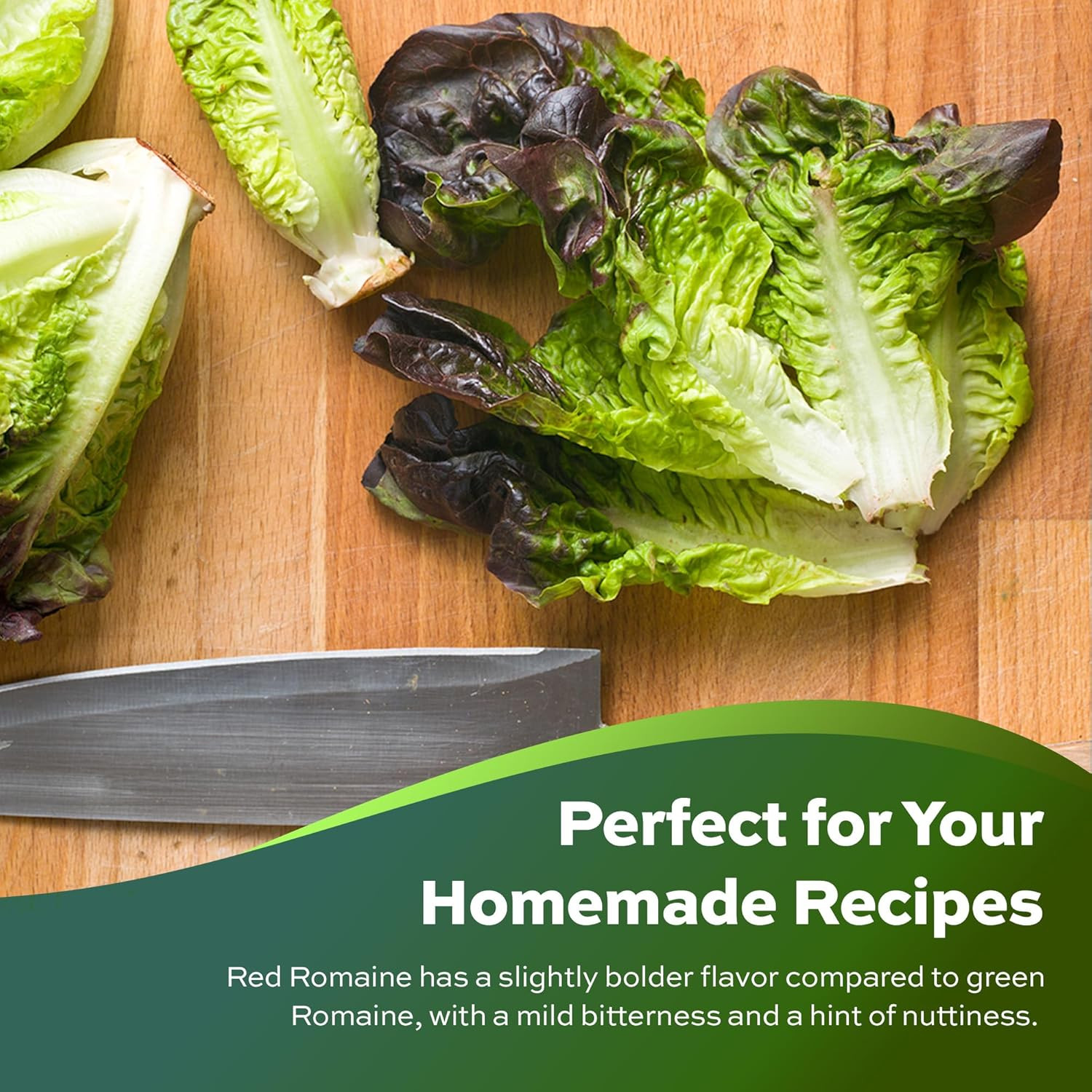 1000 Red Romaine Lettuce Seeds for Planting – Heirloom, Non-Gmo, USA Grown, Prem