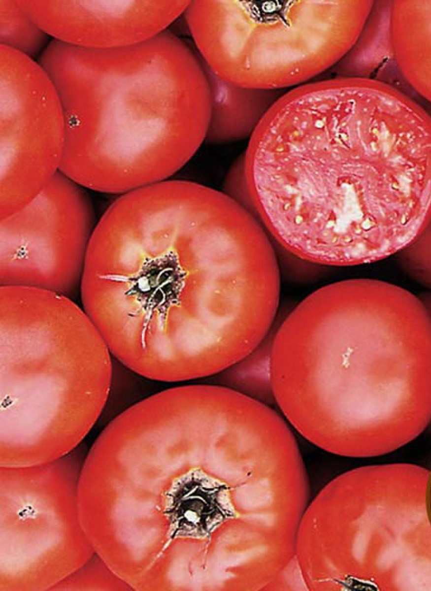 Ace 55, Tomato Seeds: Heirloom High Yield Vegetable Seeds