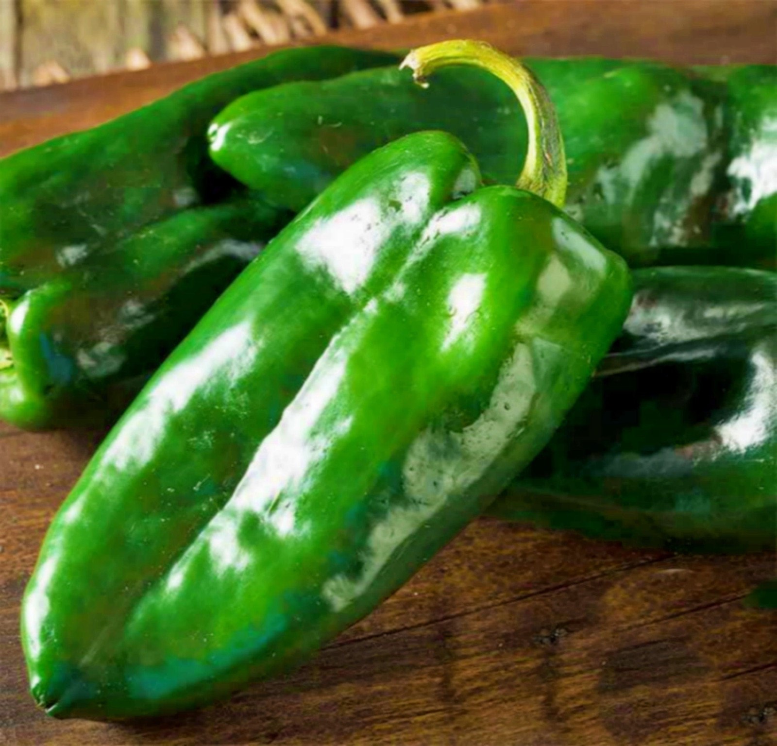 Ancho Grande Pepper Seeds Box Garden Seeds LLC Heirloom Easy Grow USA