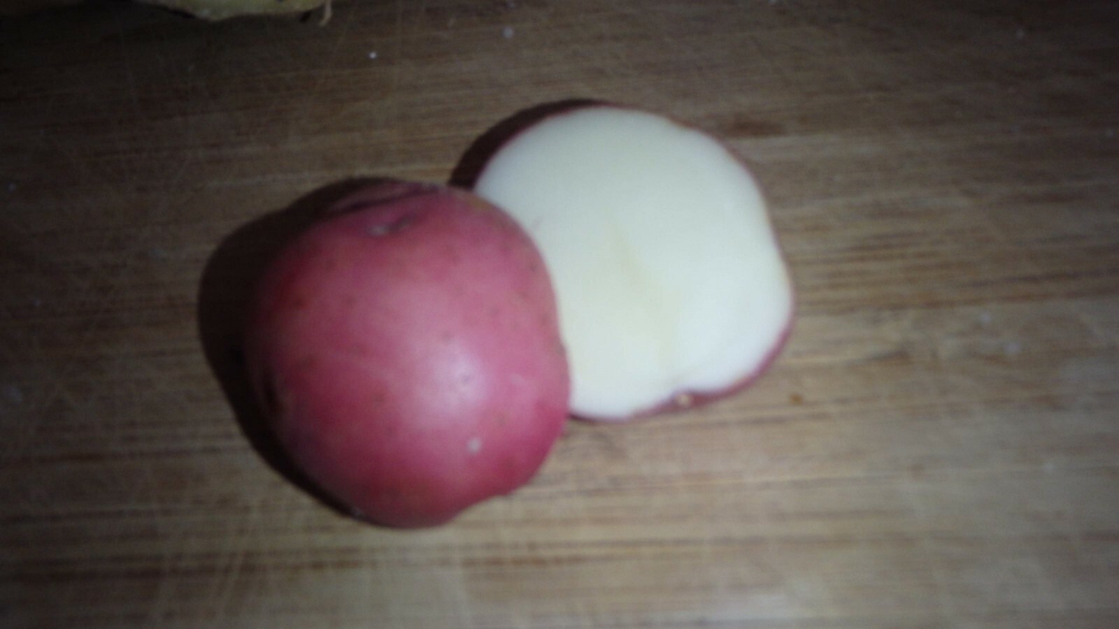 ORGANIC Red Skin White Flesh 5 Potato tubers, Solanum tuberosum