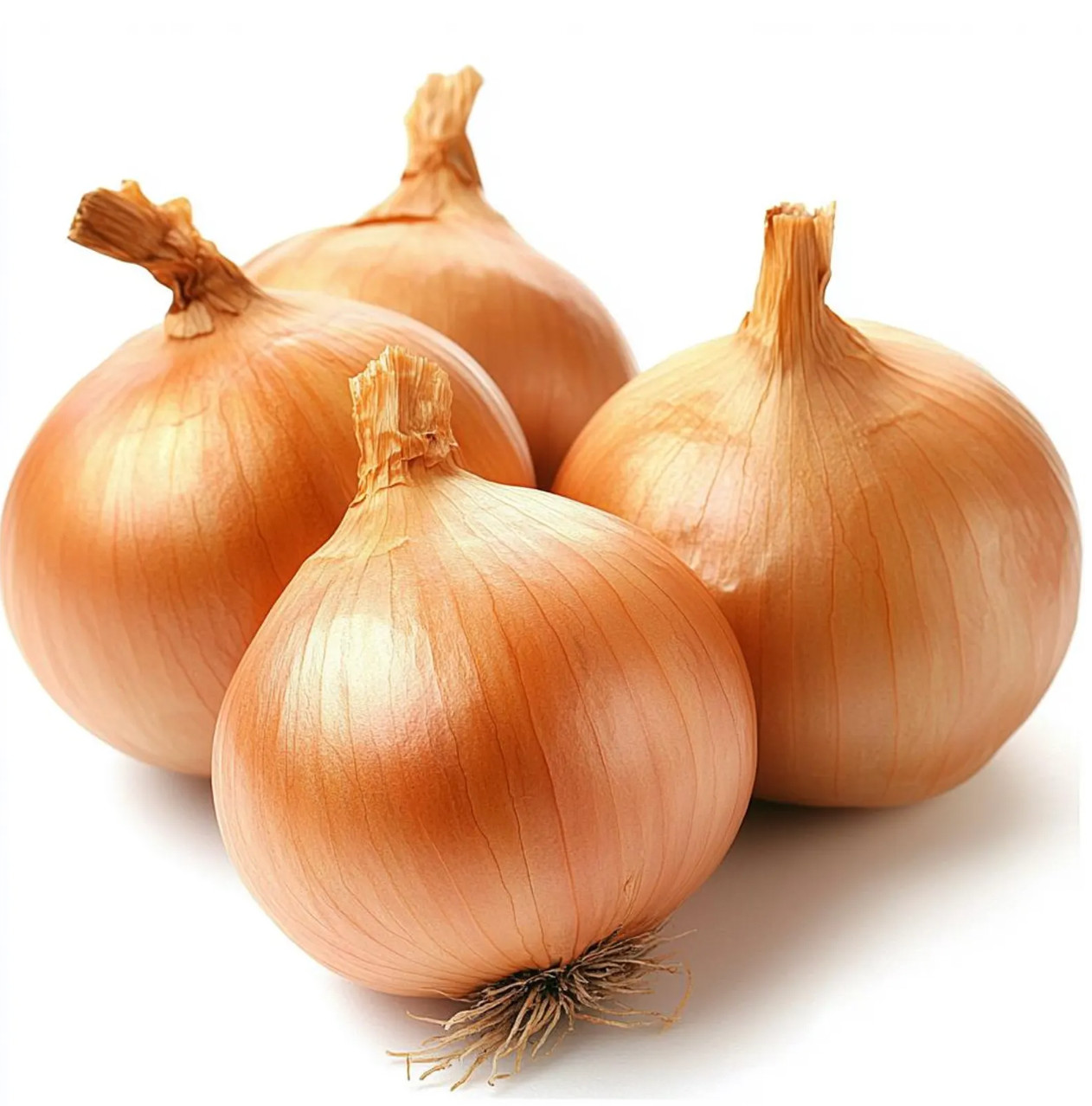 Walla Walla Sweet Onion Seeds | Heirloom / Non-GMO