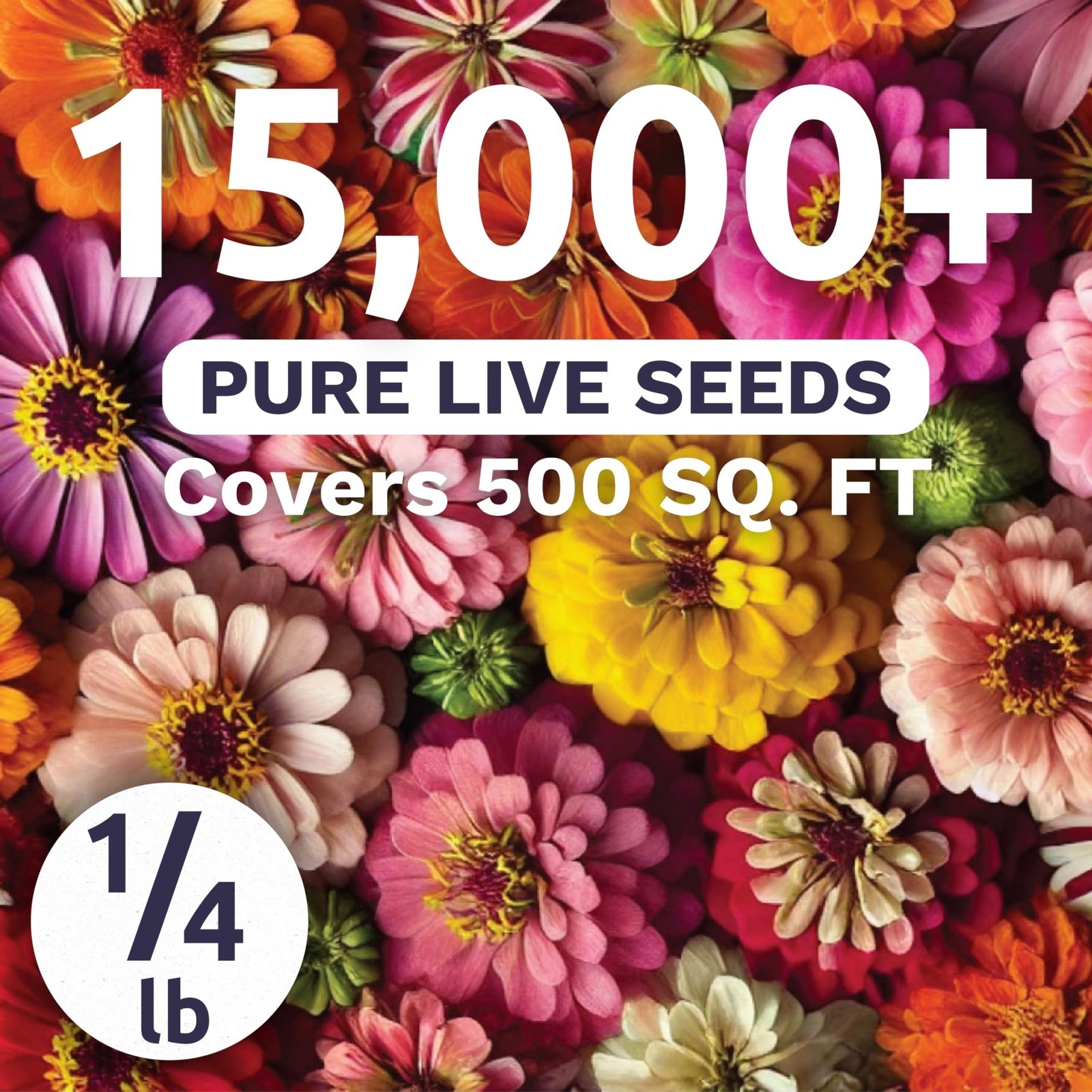 Crazy Blend Zinnia Seeds – 15,000 Flower Seeds for Planting – Bulk 1/4 lb Pouch