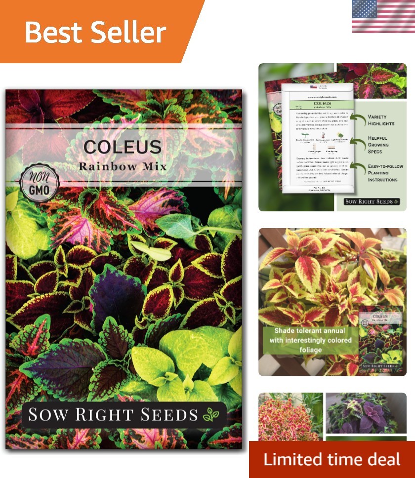 Highly Productive Coleus Rainbow Mix Seeds – Indoor & Outdoor Beauty, 800 Count