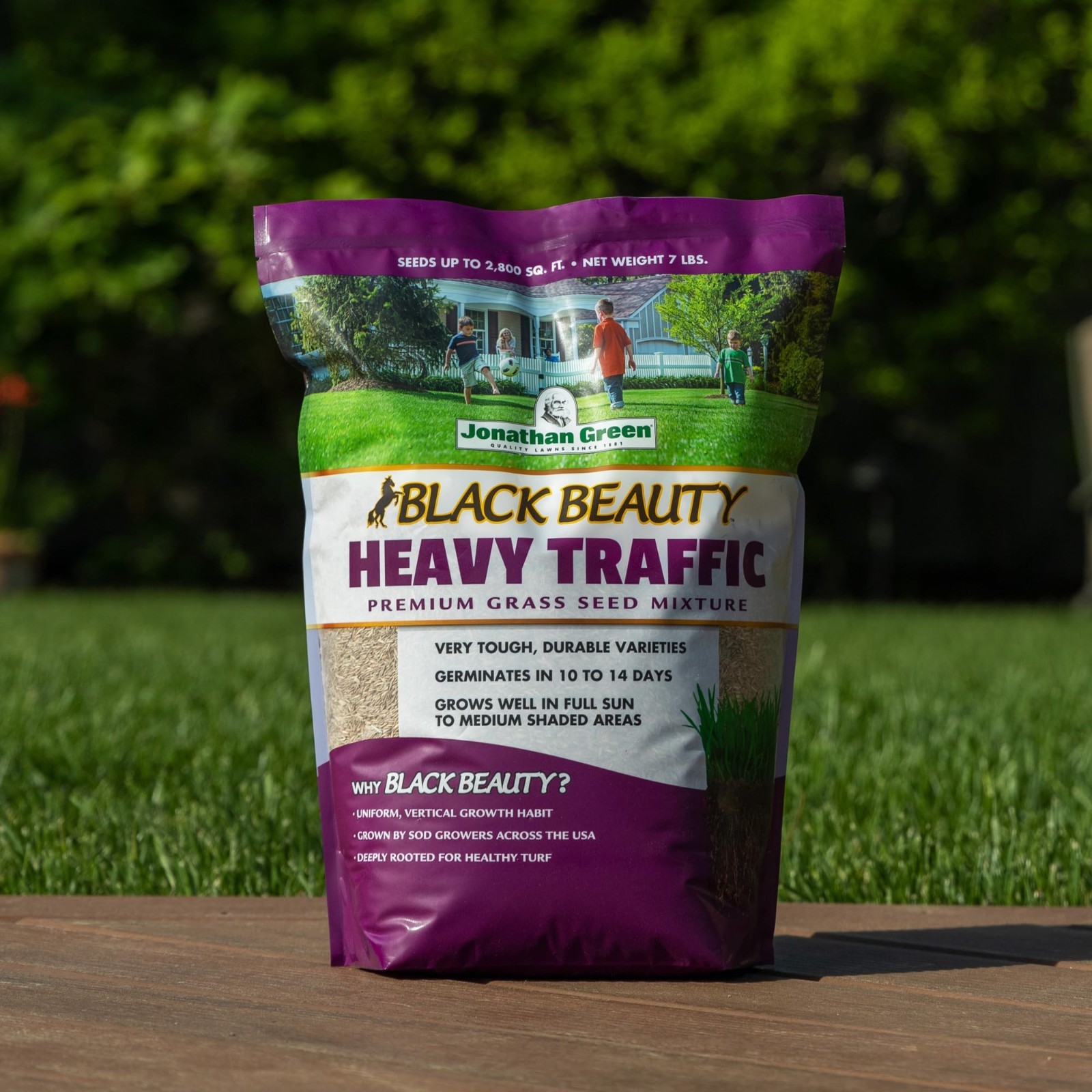 Heavy Traffic Grass Seed – Black Beauty Cool Season Lawn Seed (3 lb) for Lush Gr