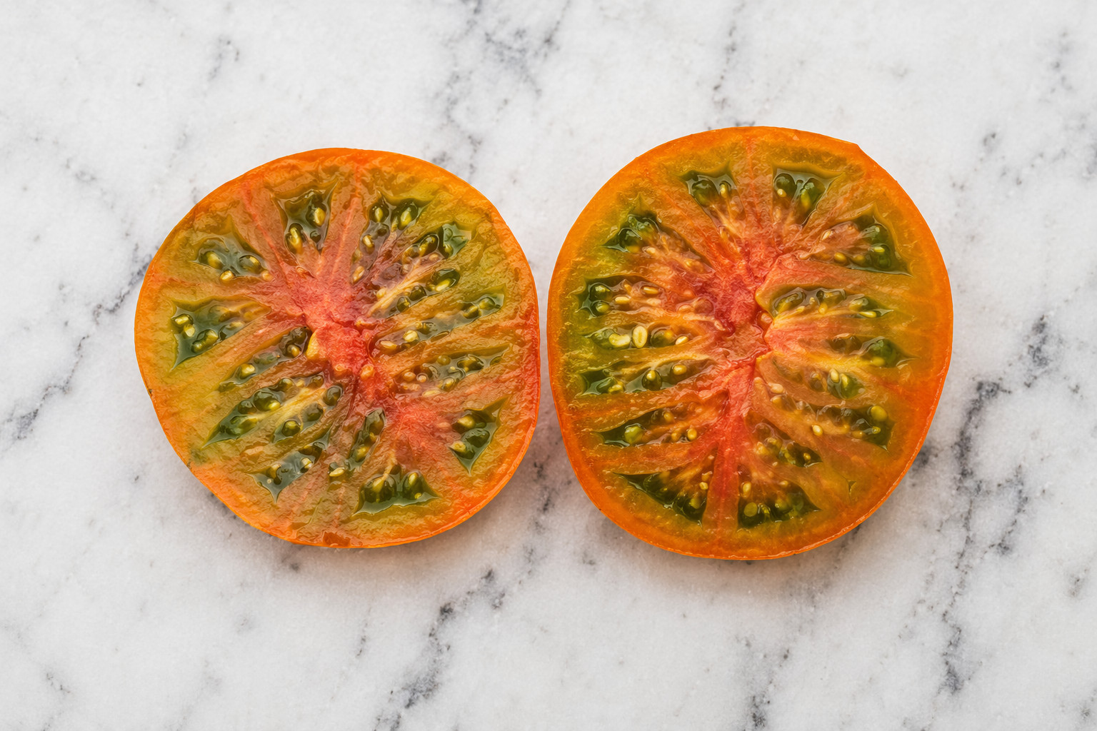 10 Thorburn’s Terra-Cotta Tomato Seeds, Organic, Open-Pollinated, Non-GMO