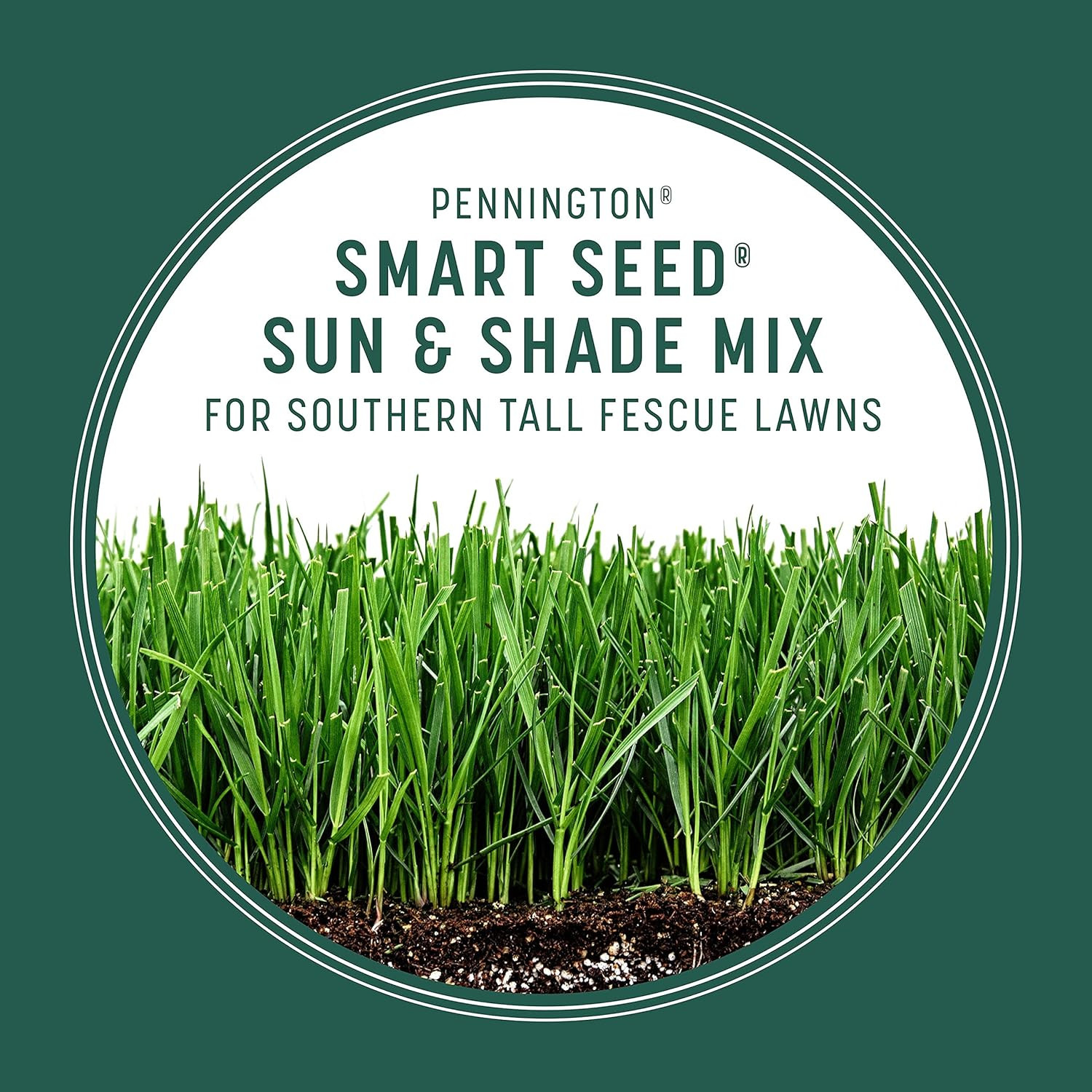 Smart Seed Sun & Shade Mix South, Tall Fescue Grass Seeds for Lawn, 3 Lb