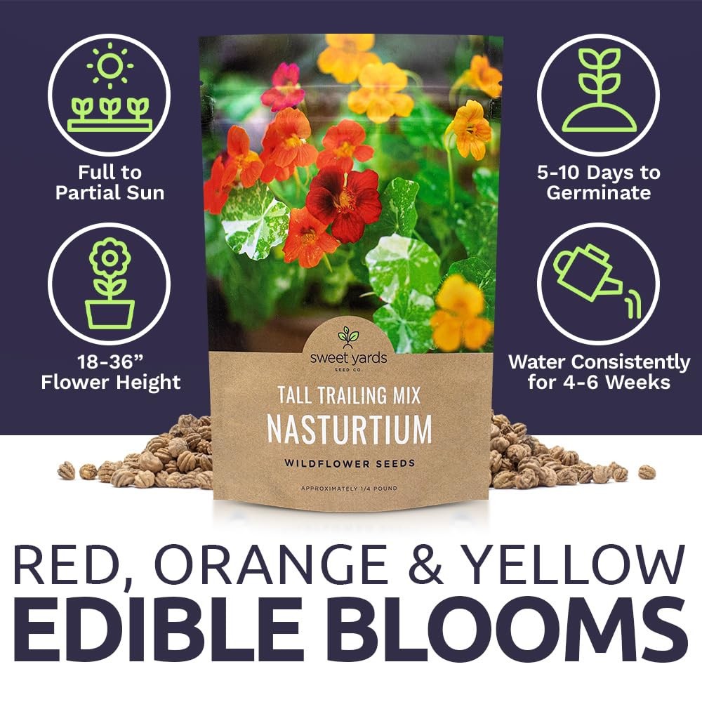 Mixed Colors Nasturtium Seeds, Bulk 1/4 Pound Bag, Over 900 Non-GMO Seeds