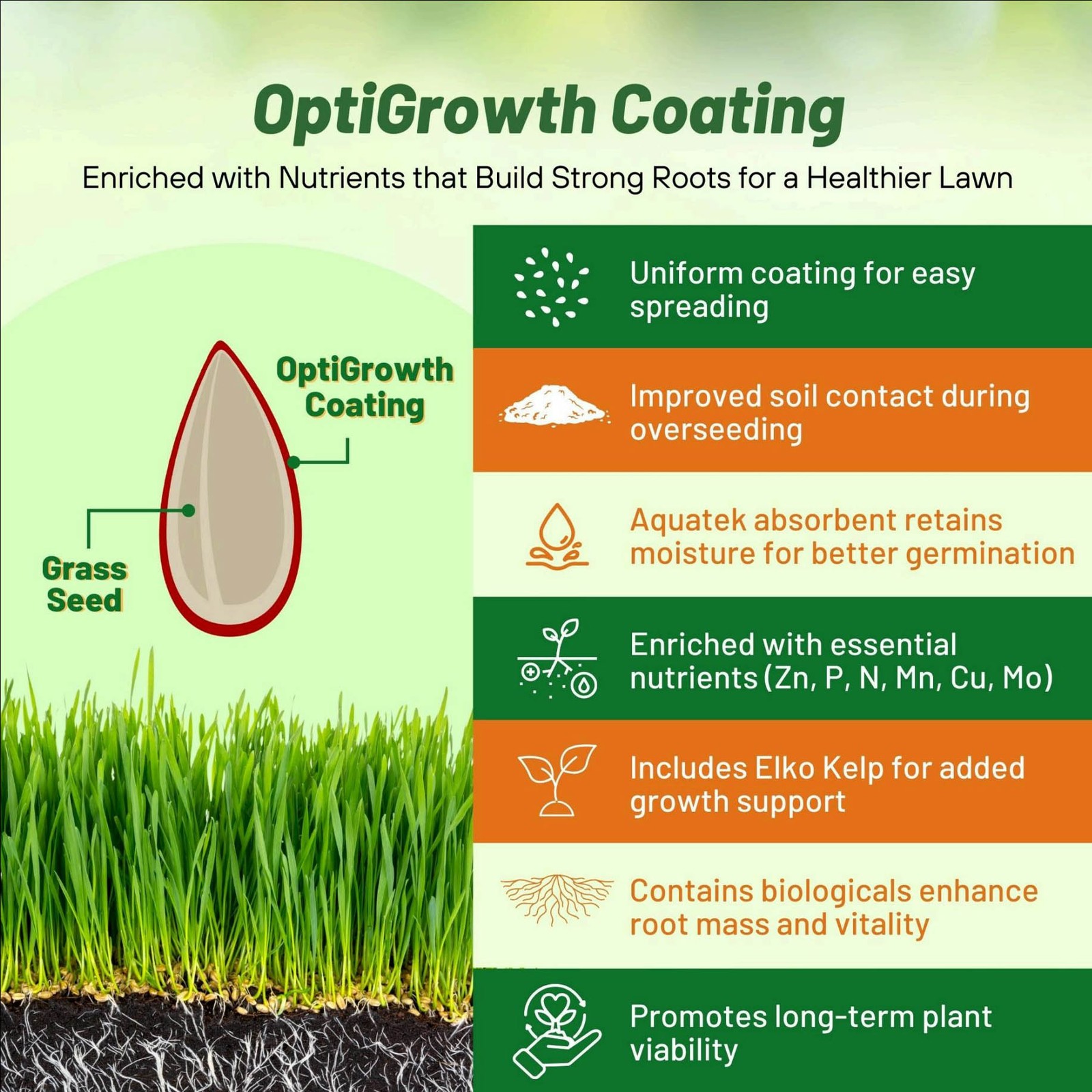 5 LBS – OptiGrowth Coated SPF-30 Hybrid Heat & Drought Tolerant Kentucky