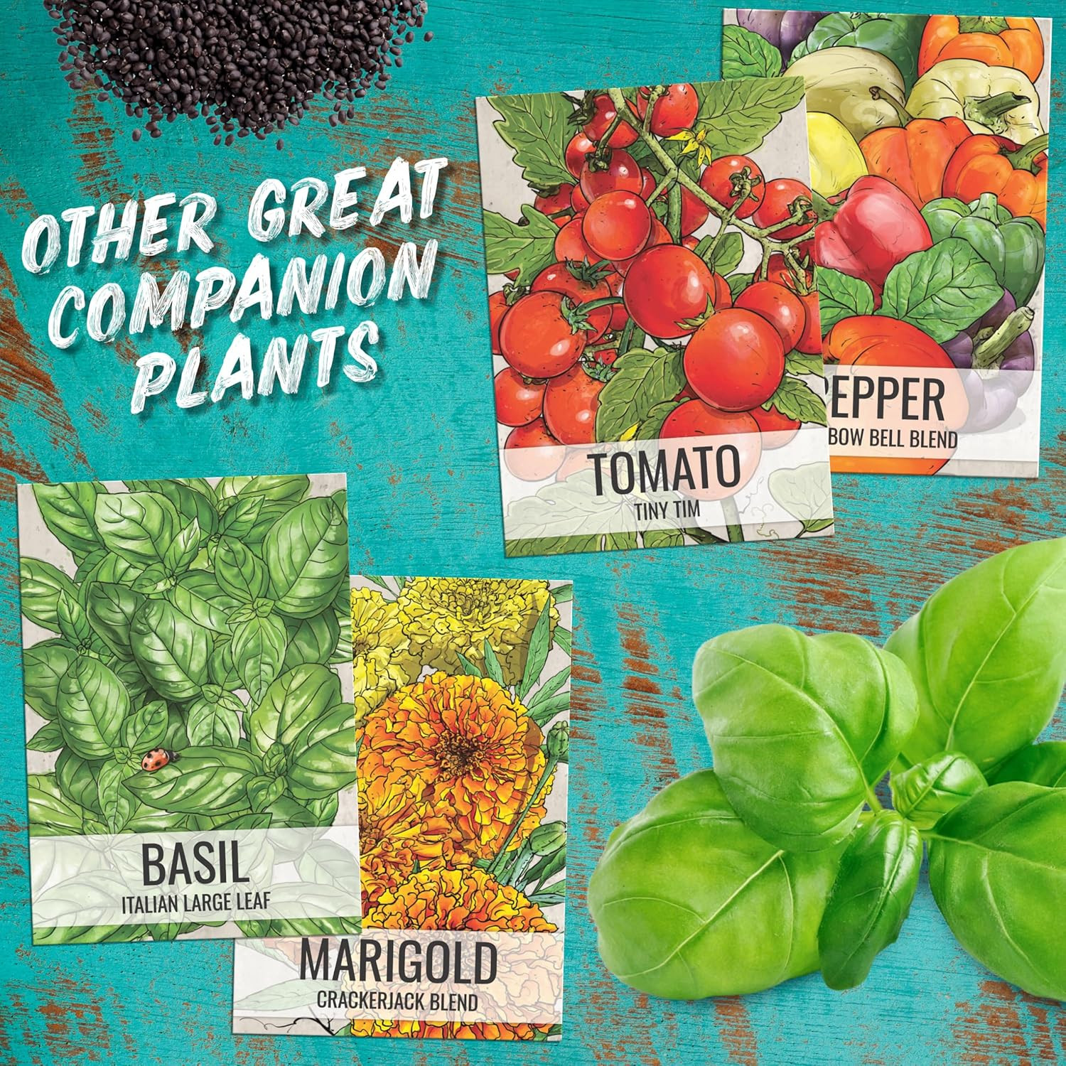 Culantro Seeds for Planting Mexican Coriander -2 Pack