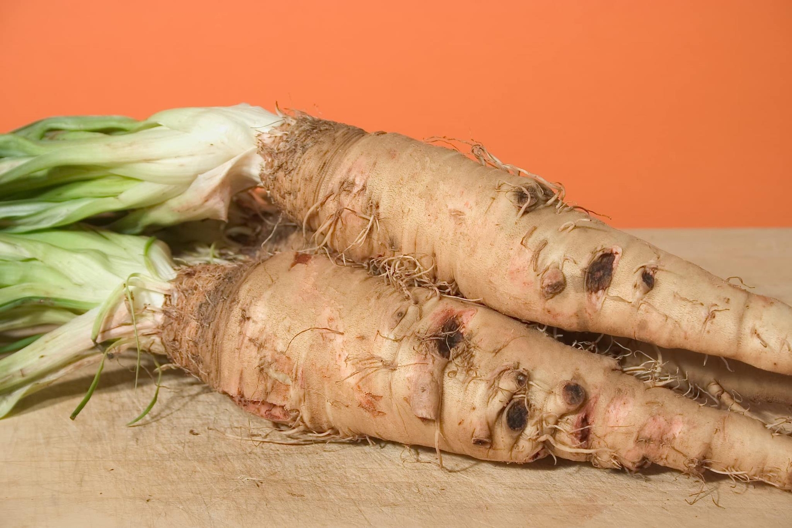 Salsify Seeds – Sandwich Island Variety (100 Seeds) – Non-GMO Root Vegetable – W