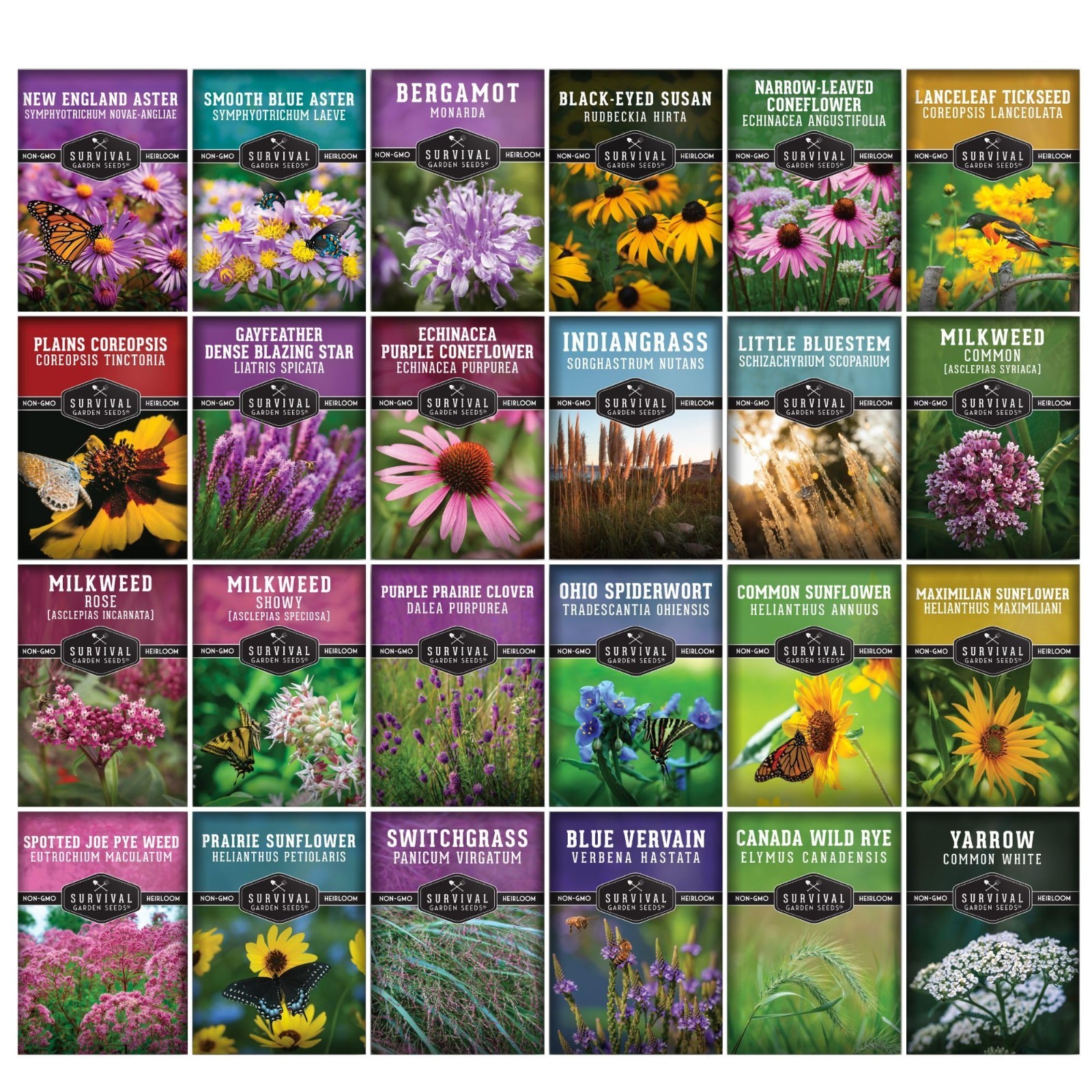 Wildflower Seeds Variety Pack – 24 Non-GMO Perennial & Annual Flowers for Pollin