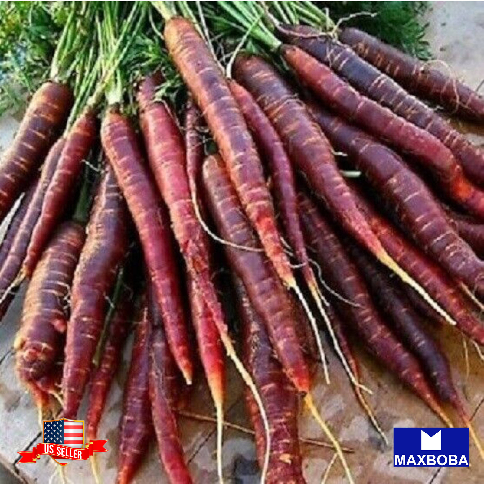 Carrot Seeds Cosmic Purple Organic Non-GMO Heirloom