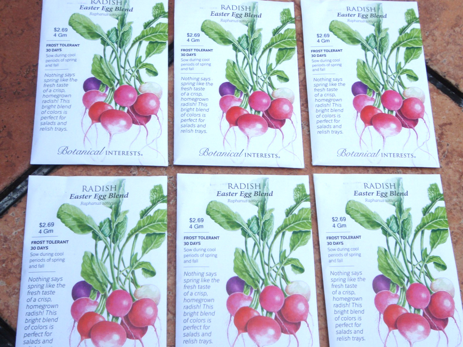 (6 PACK)-BRAND NEW BOTANTICAL INTERESTS EASTER EGG BLEND RADISH-PACKED FOR 2026
