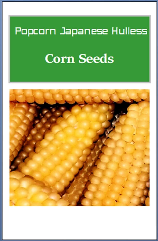 Popcorn Japanese Hullness Corn Seeds | Heirloom | Fresh Garden Seeds