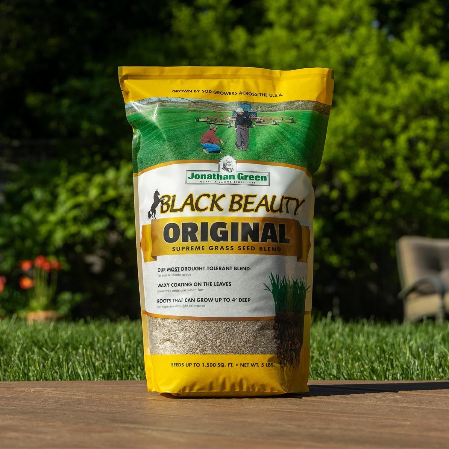 (10315) Black Beauty Original Grass Seed Blend – Cool Season Lawn Seed (25 Lb)