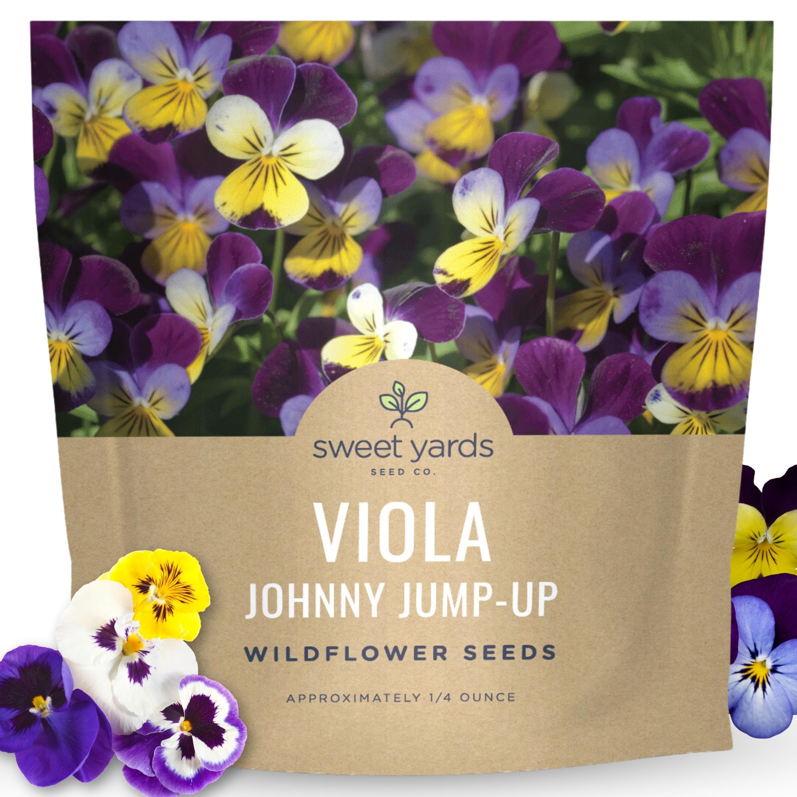 Johnny Jump Up Viola Seeds 1/4 Ounce 10000 Planting Garden Flower