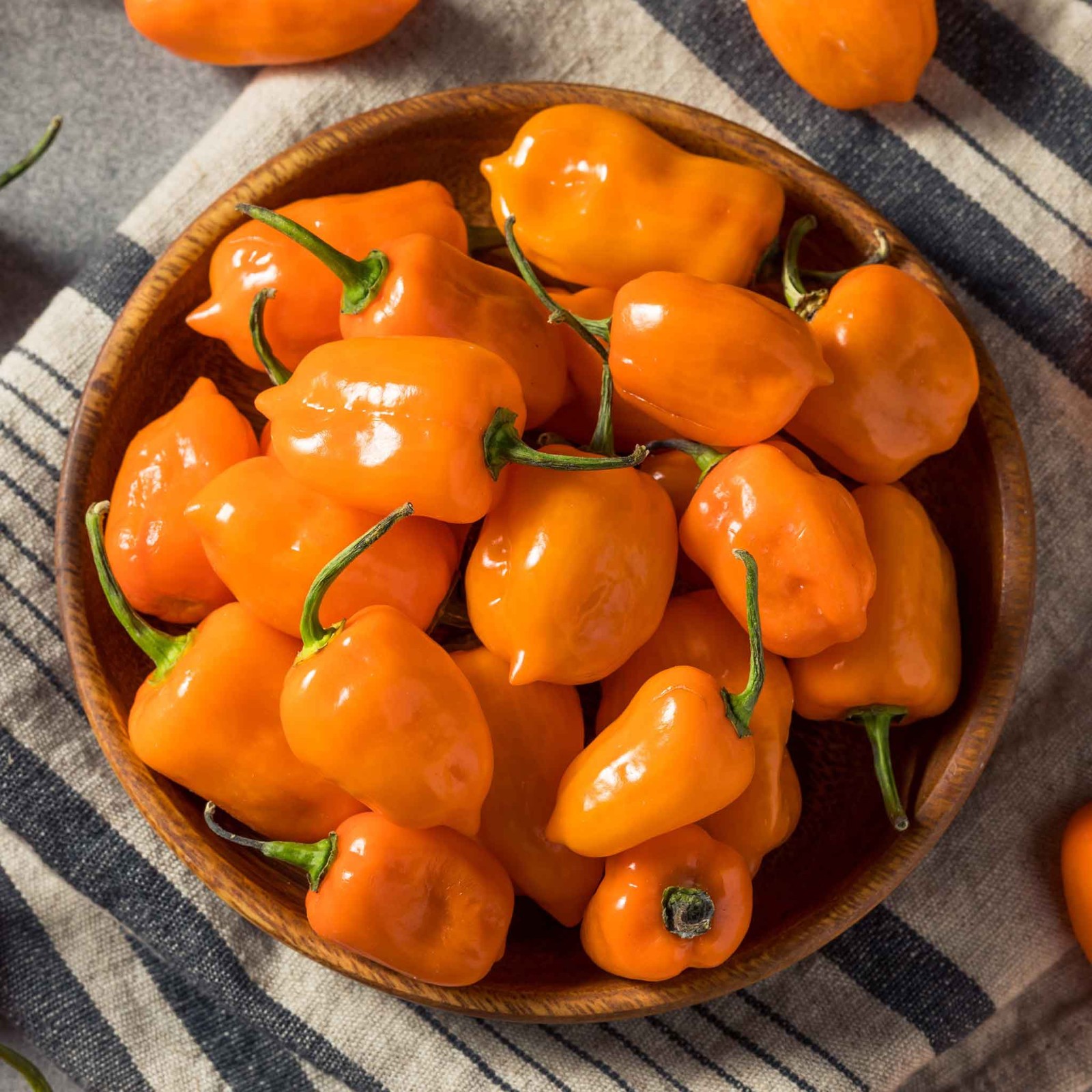 10 SWEET ORANGE HABANERO PEPPER SEEDS ~ heirloomseedguy ~ 2026 ~ NON-GMO