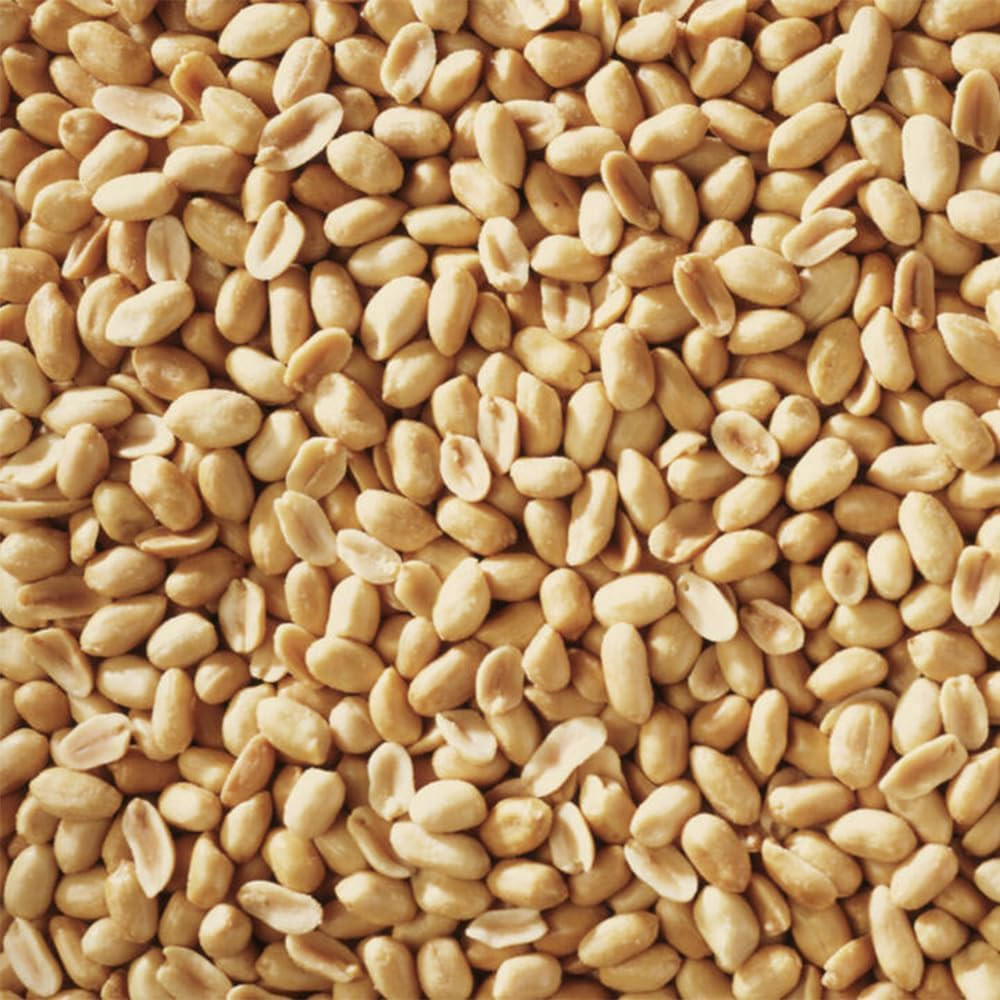 Shelled Peanuts Seeds Wild Bird Food – 5 Pounds I No Grow Seed I Bird Seed for W
