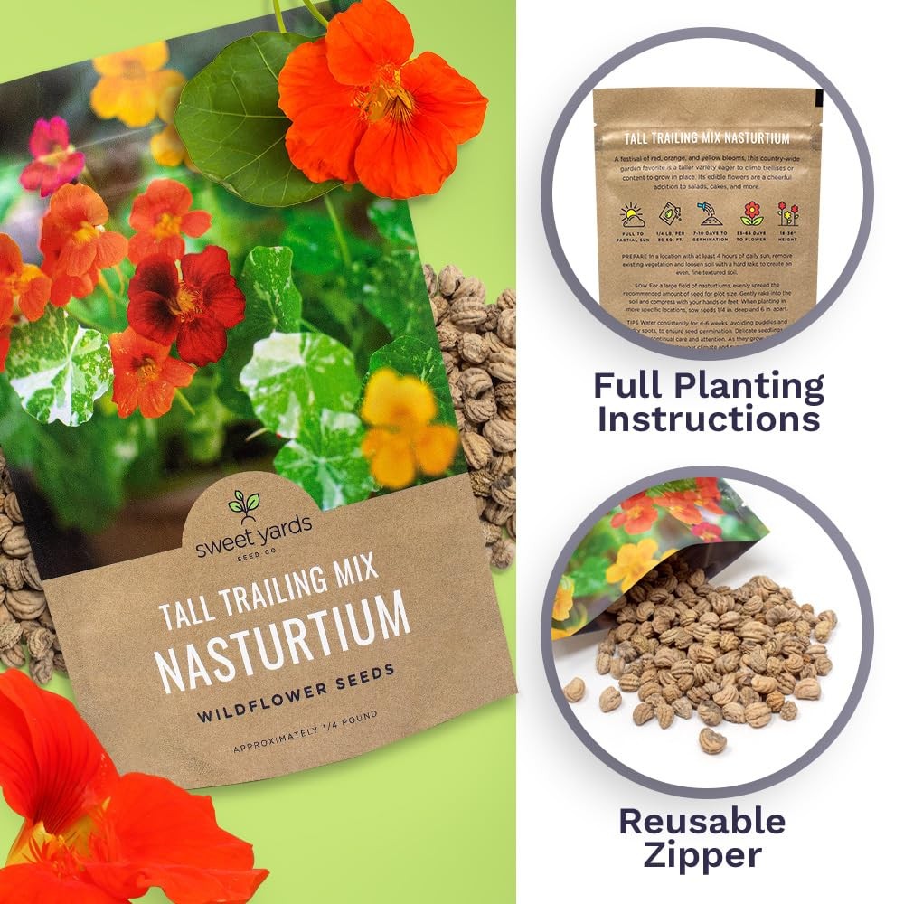 Mixed Colors Nasturtium Seeds, Bulk 1/4 Pound Bag, Over 900 Non-GMO Seeds
