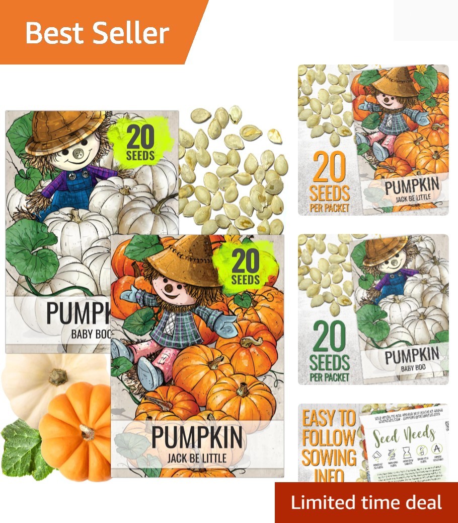 Pumpkin Seeds for Planting a Collection of Mini Pumpkins – Non-GMO Heirloom &…