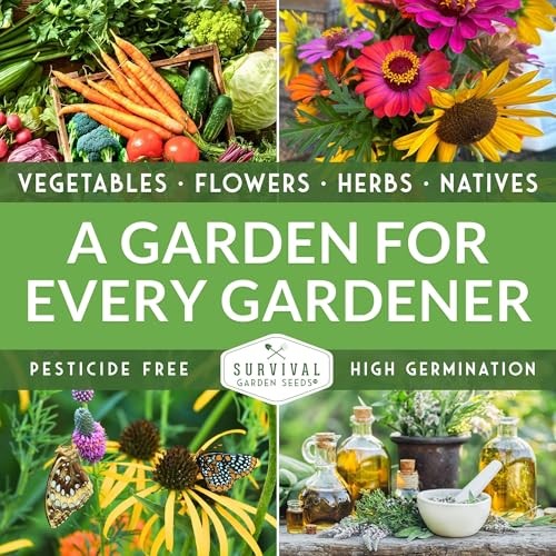 Packs Garlic Chives Seed for Planting – Packet with Instructions to Grow 3