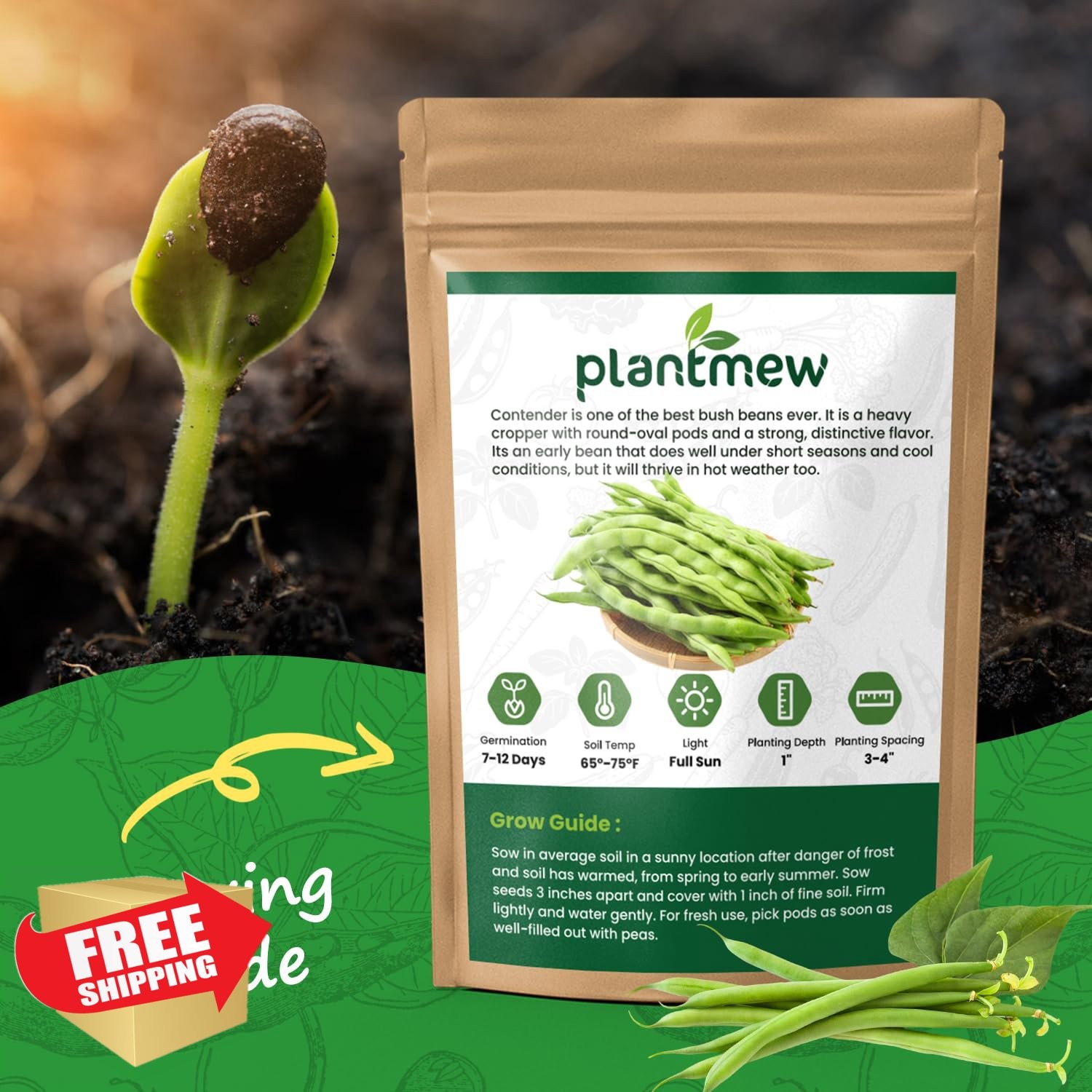 PLANTMEW Contender Bush Bean Seed 1 Pack Garden Vegetable