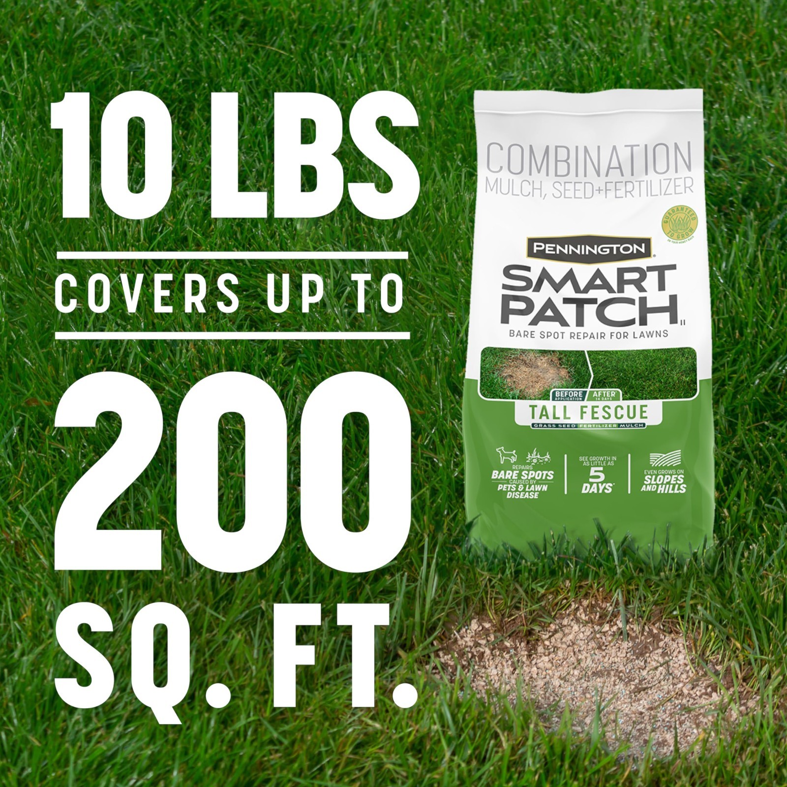 10lb Tall Fescue Grass Seed – Smart Patch for Lush, Durable Lawn Growth