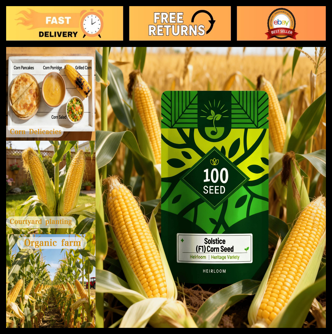 Sweet Corn Seeds – 100 Pack – Non-GMO, Ideal for Backyard & Small Farm Gardening