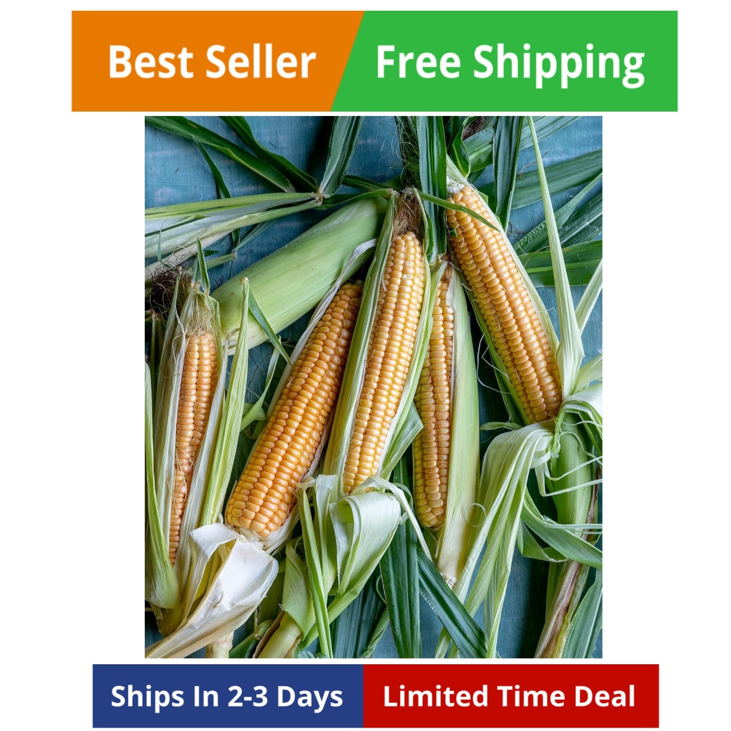 200 Non-GMO Golden Bantam Sweet Corn Seeds – Heirloom & Organic Quality