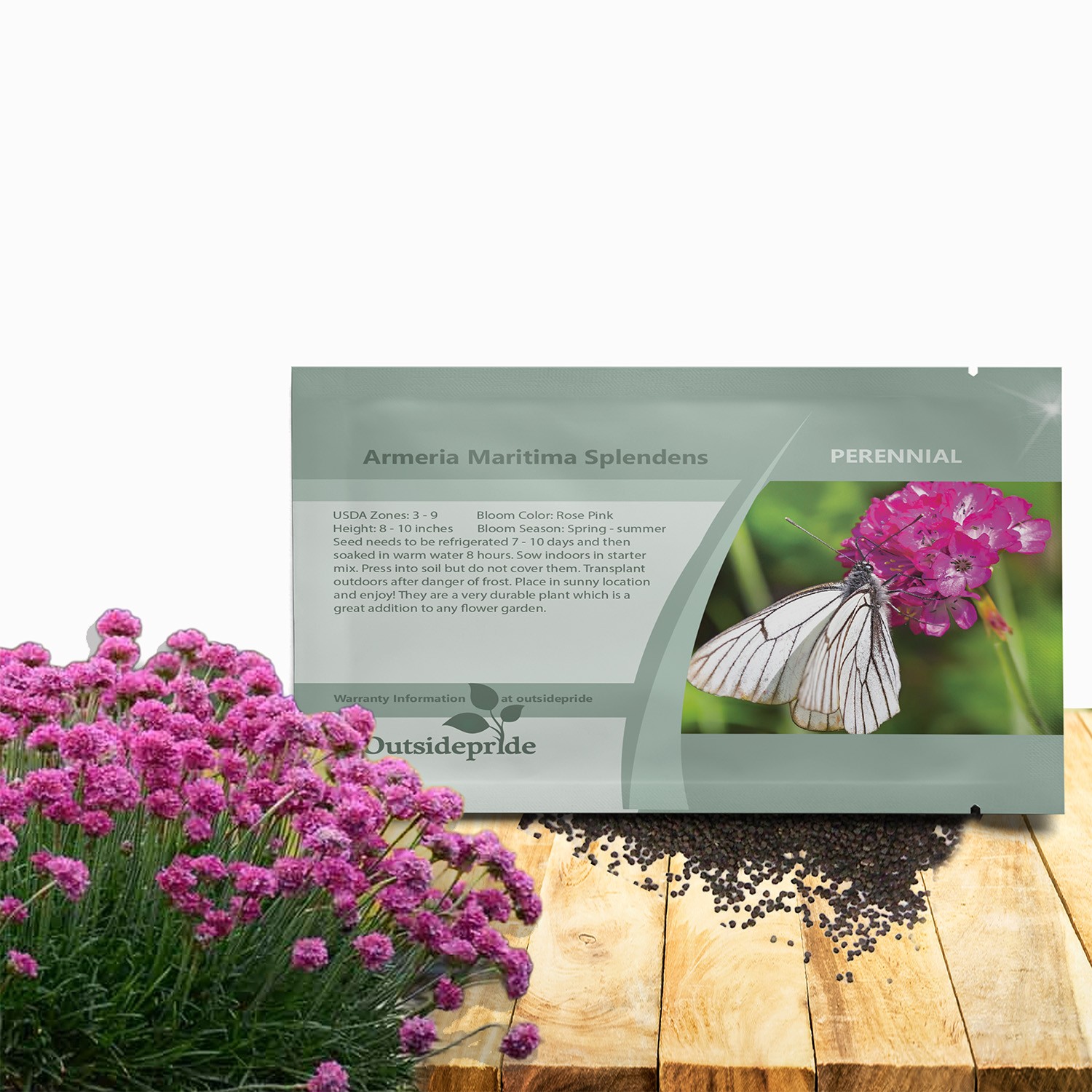 1000 Seeds Armeria Maritima Splendens Sea Pink Thrift Garden Flowers Seed For