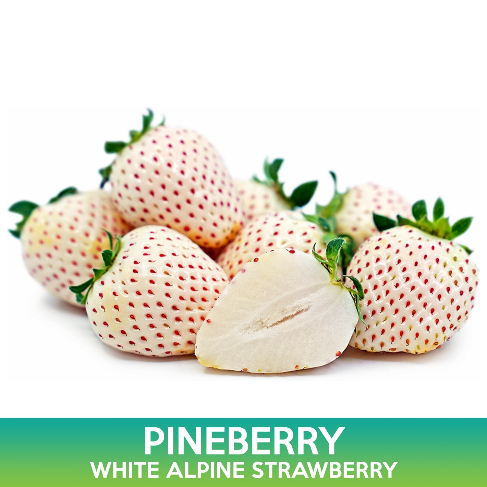 Pineberry Seeds, White Alpine Strawberry