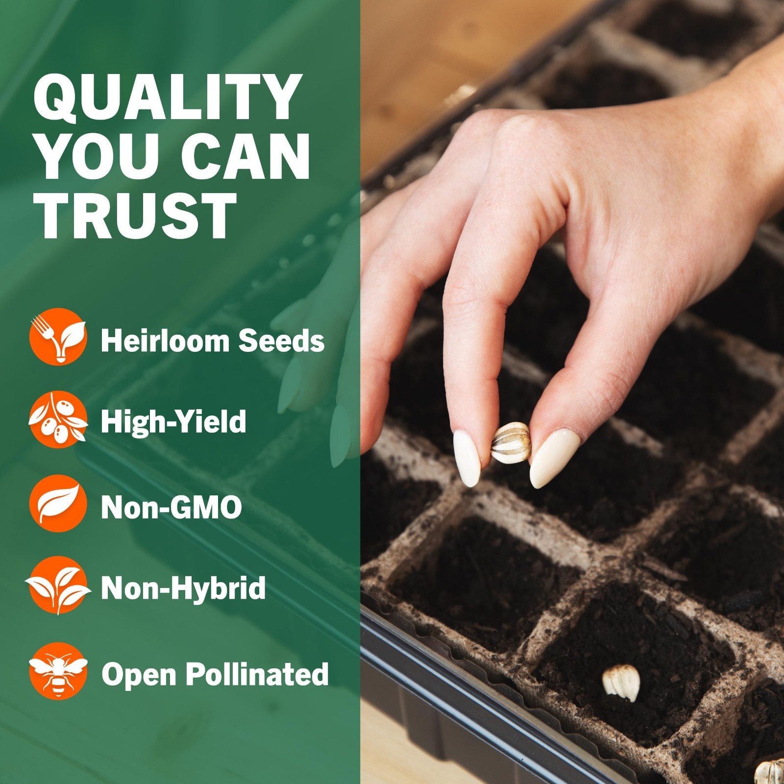 15,000 Heirloom Seeds – 32 Varieties, Non-GMO Survival Seeds for Indoor & Outdoo