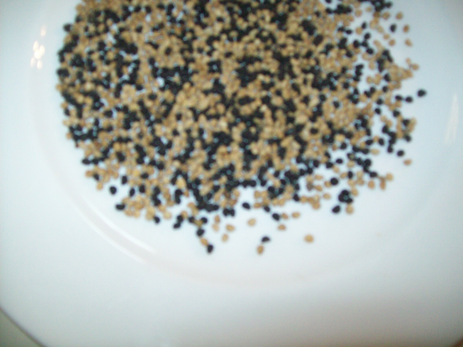 New Harvest 3 Tablespoons of Assorted Morning Glory Seeds Garden or Animal Feed