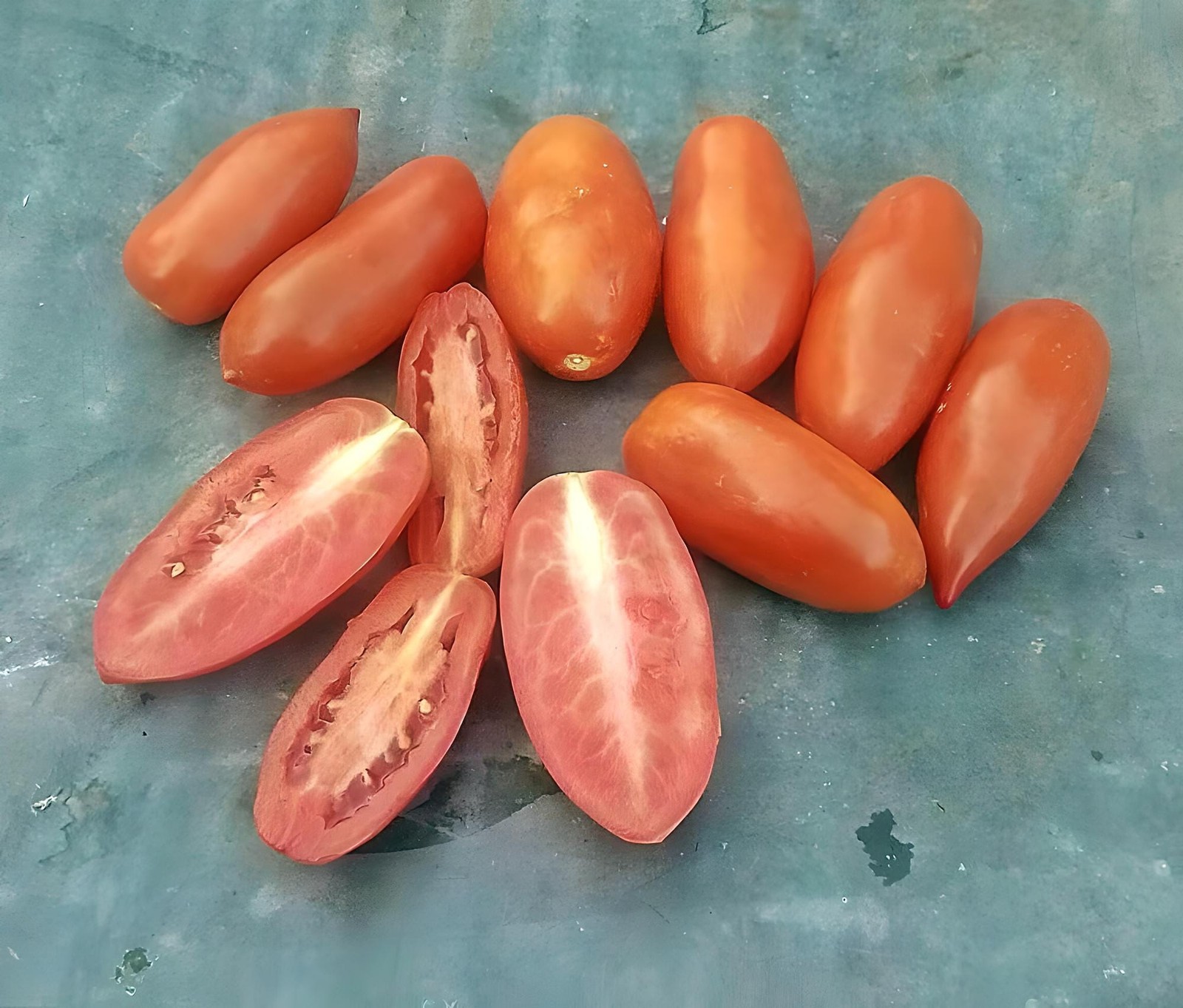 Roma Tomato Seeds Box Garden Seeds LLC Heirloom Paste Sauce Canning