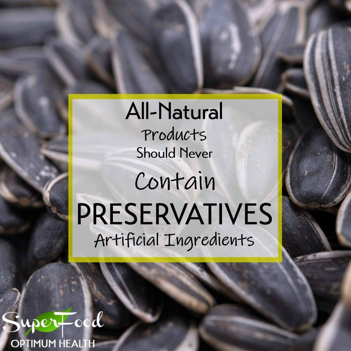 2 LBS Jumbo Unsalted Sunflower Seeds – Resealable Bag for Freshness