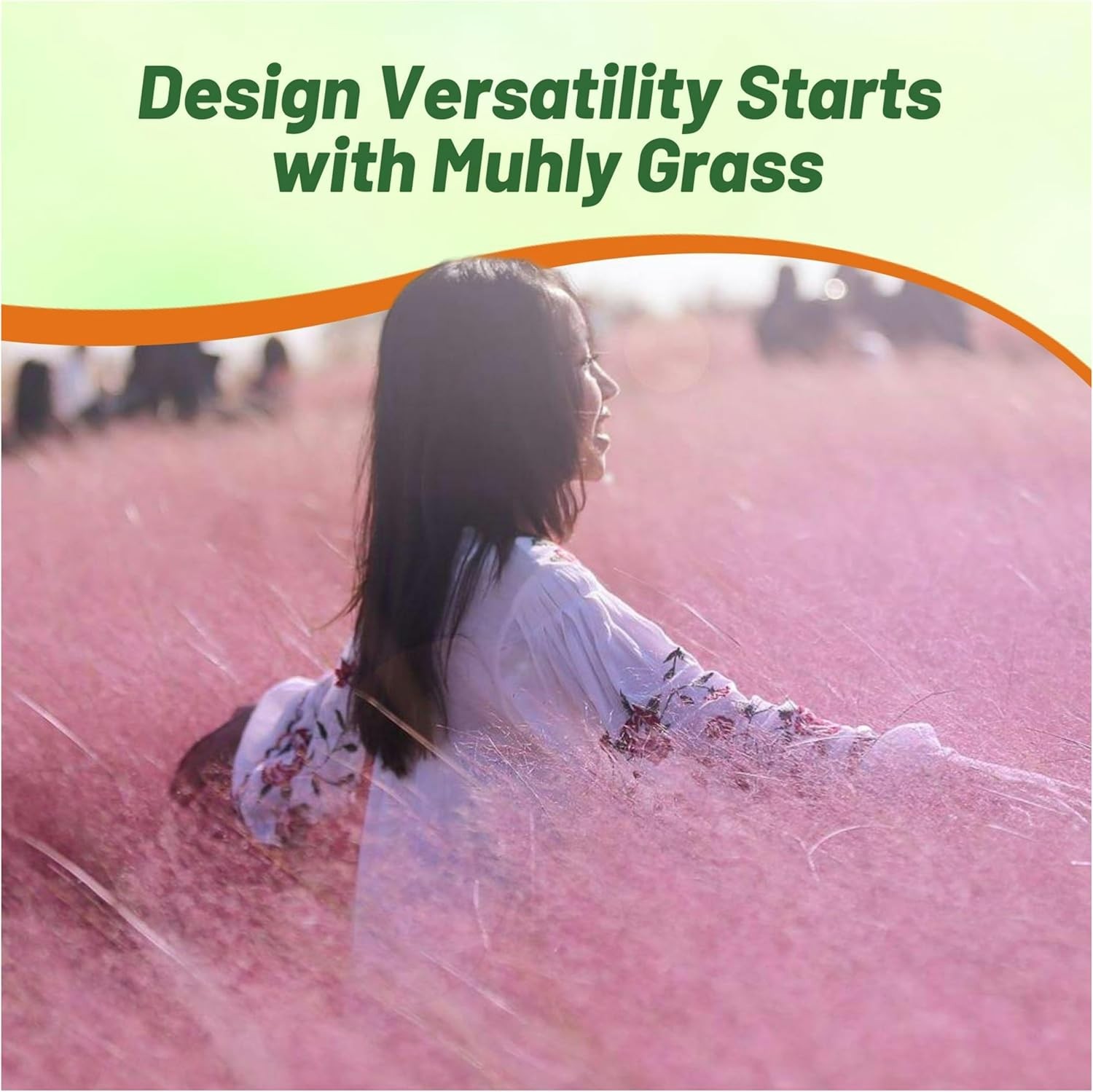 50 Seeds Pink Muhly Drought Tolerant Xeriscape Ornamental Grass Plant Seed