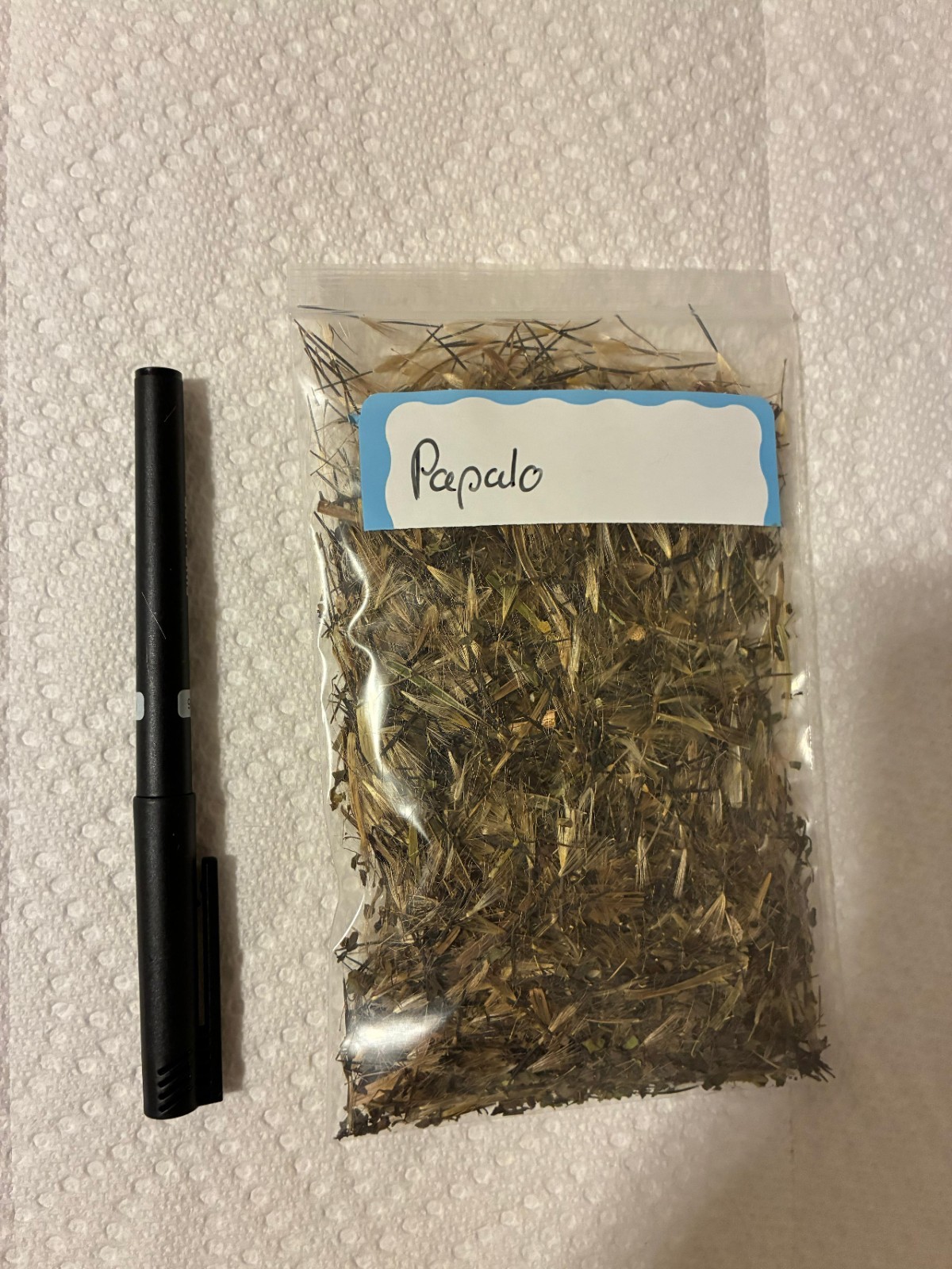 1500+ Papalo seeds