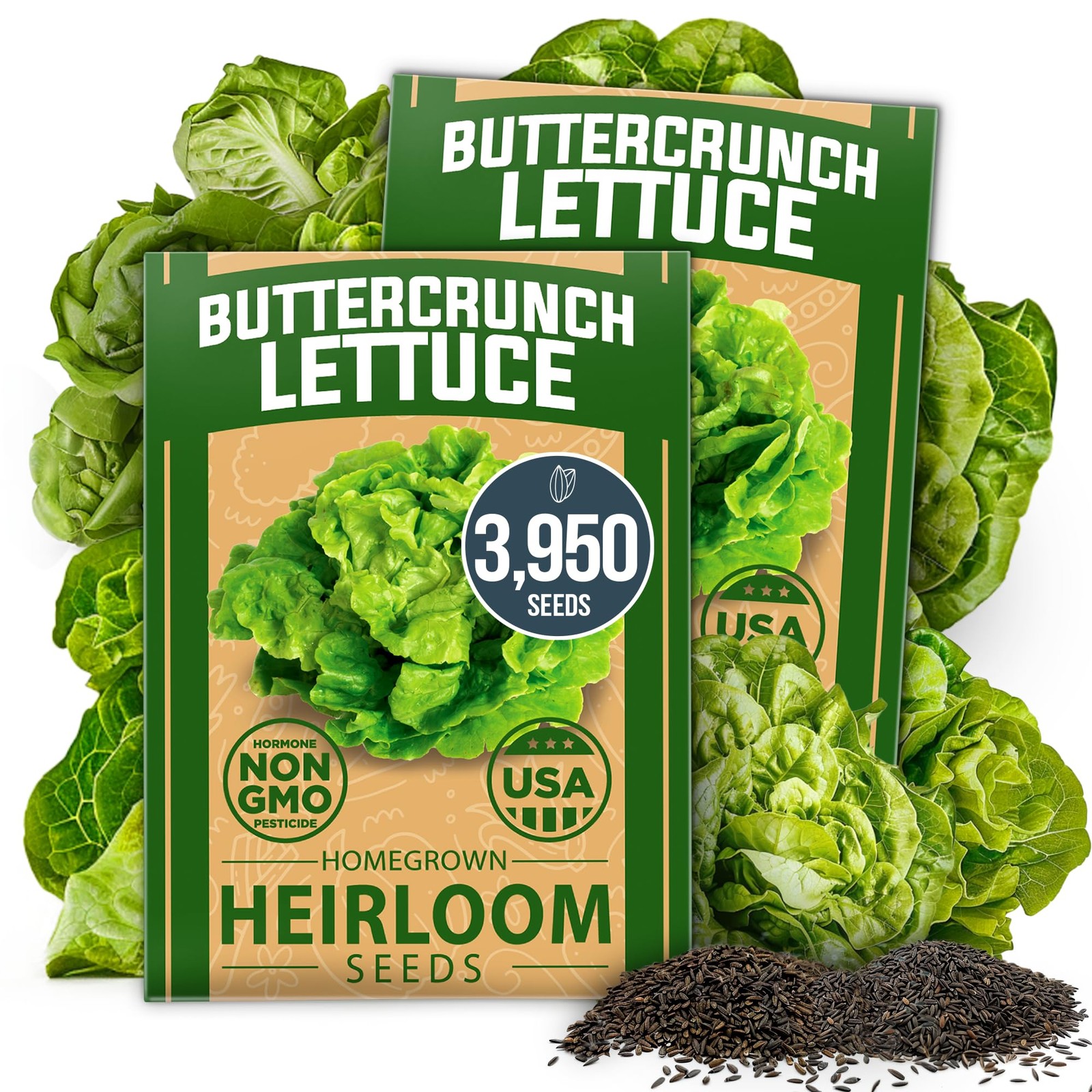 HOME GROWN Buttercrunch Lettuce Seeds 3950+ Bulk Pack Heirloom NonGMO, High G…