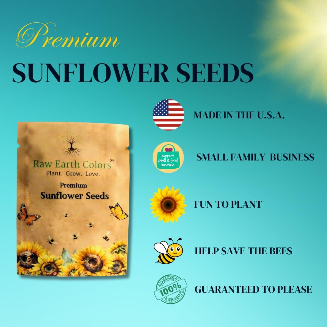 Dwarf Sunflower Seeds for Planting – to Plant and Grow Teddy Bear and Sunspot…