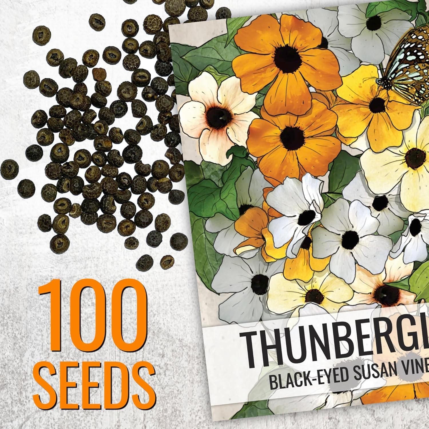 Black-Eyed Susan Vine Seeds – 100 Heirloom Seeds for Planting Thunbergia alat…