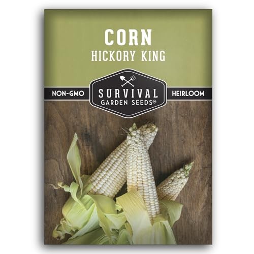 Hickory King Corn Seed for Planting – Packet with Instructions to Plant and 1