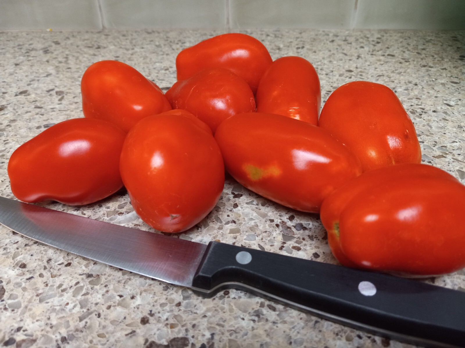 Roma Tomato Seeds 20+ Vegetable Plum Tomato **Free Shipping**