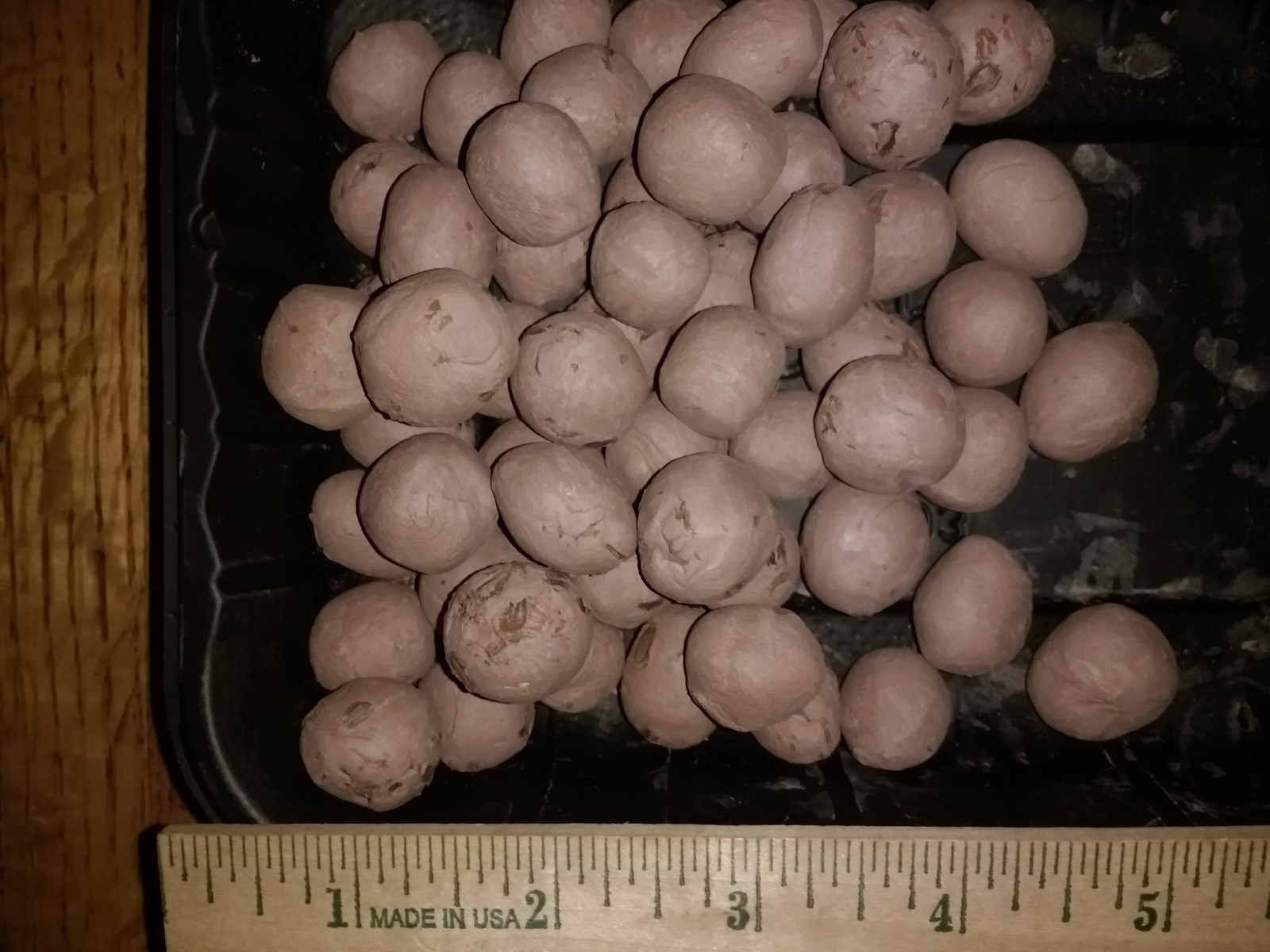 50 Organic Milkweed Seed Balls – Enhance Garden, Support Monarch Butterflies!
